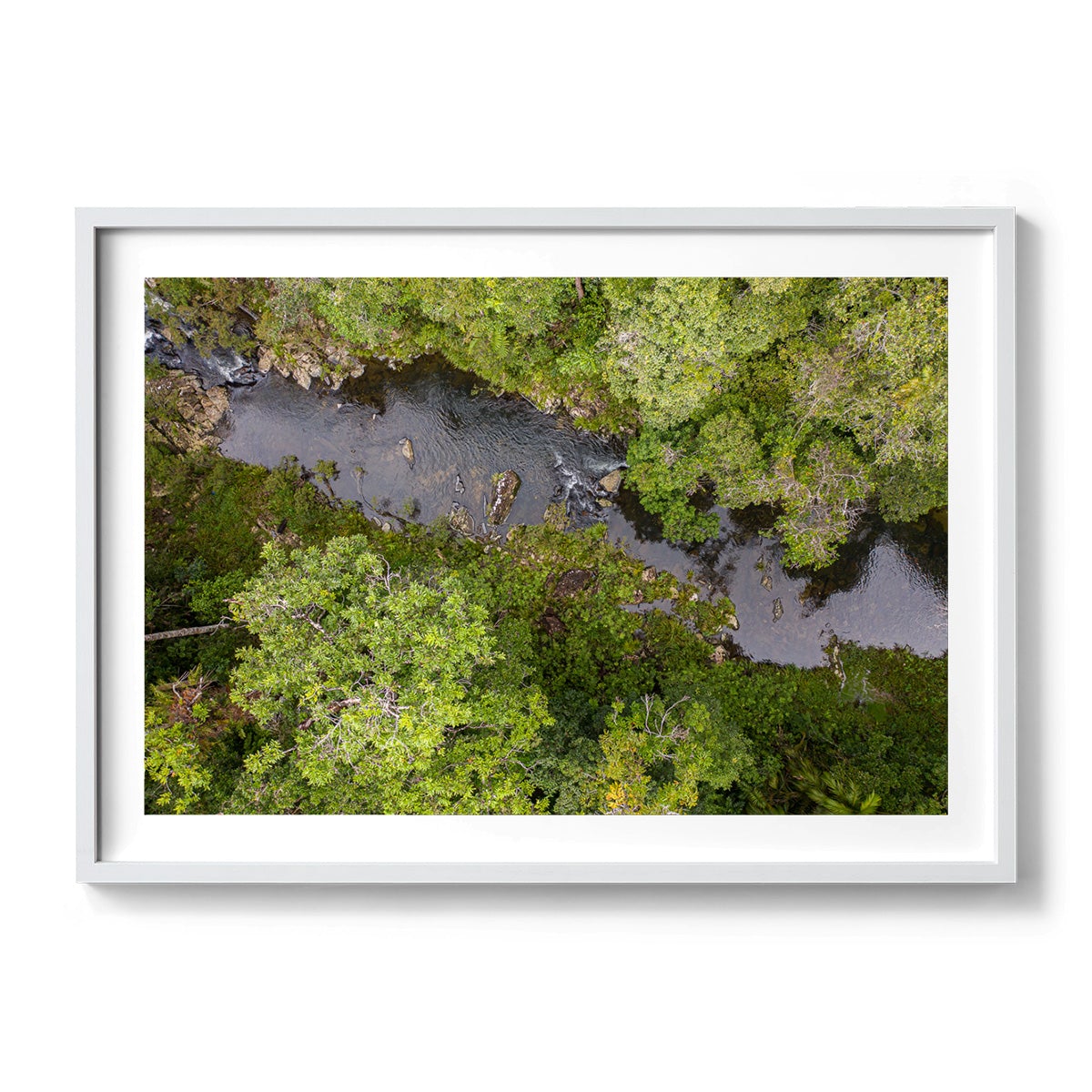 Windin Creek in the Rainforest #1 - Framed Print