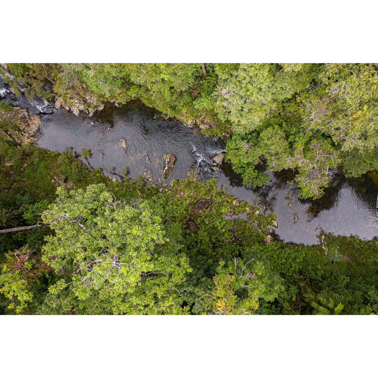 Windin Creek in the Rainforest #1 - Acrylic ICE Block