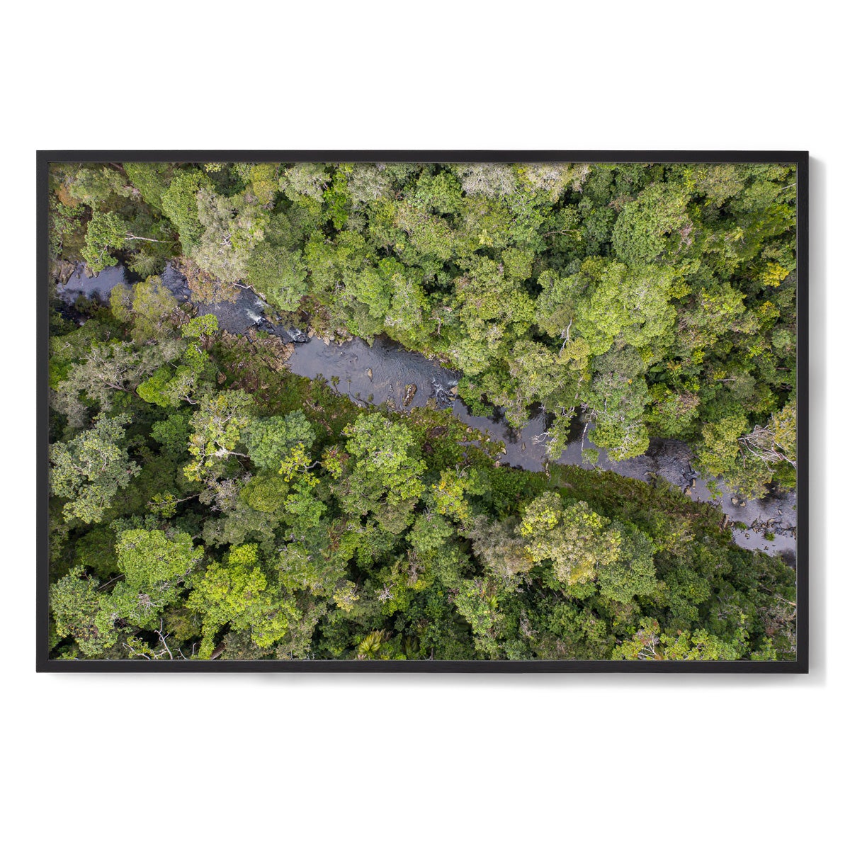 Windin Creek in the Rainforest #3 - Framed Print