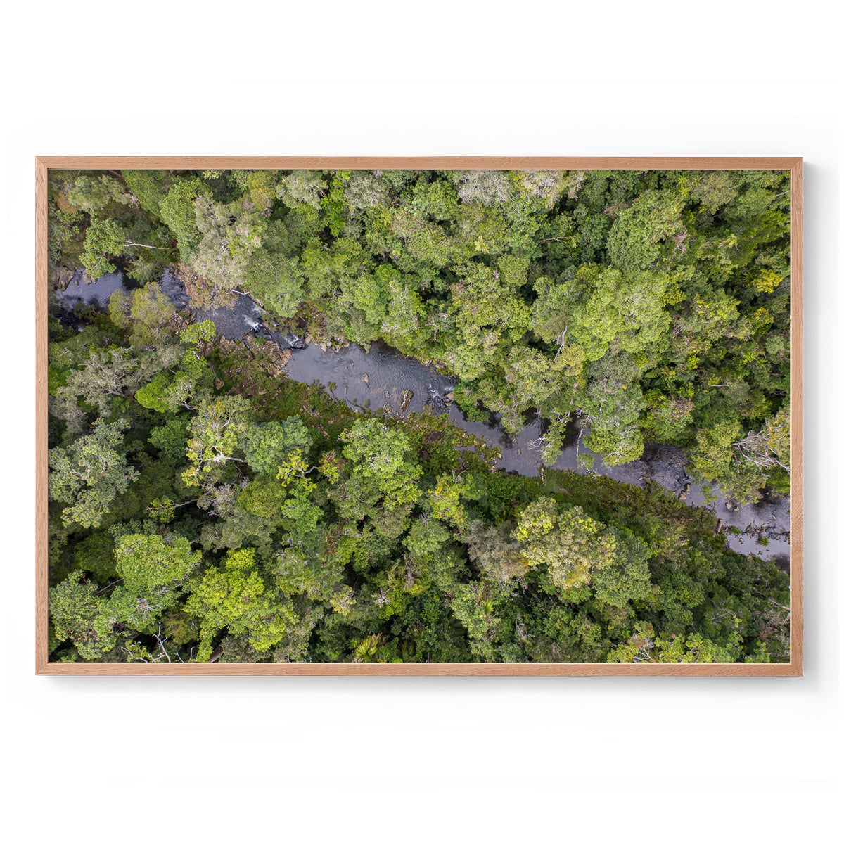 Windin Creek in the Rainforest #3 - Framed Print