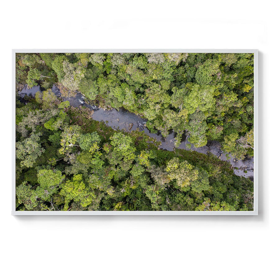Windin Creek in the Rainforest #3 - Framed Print