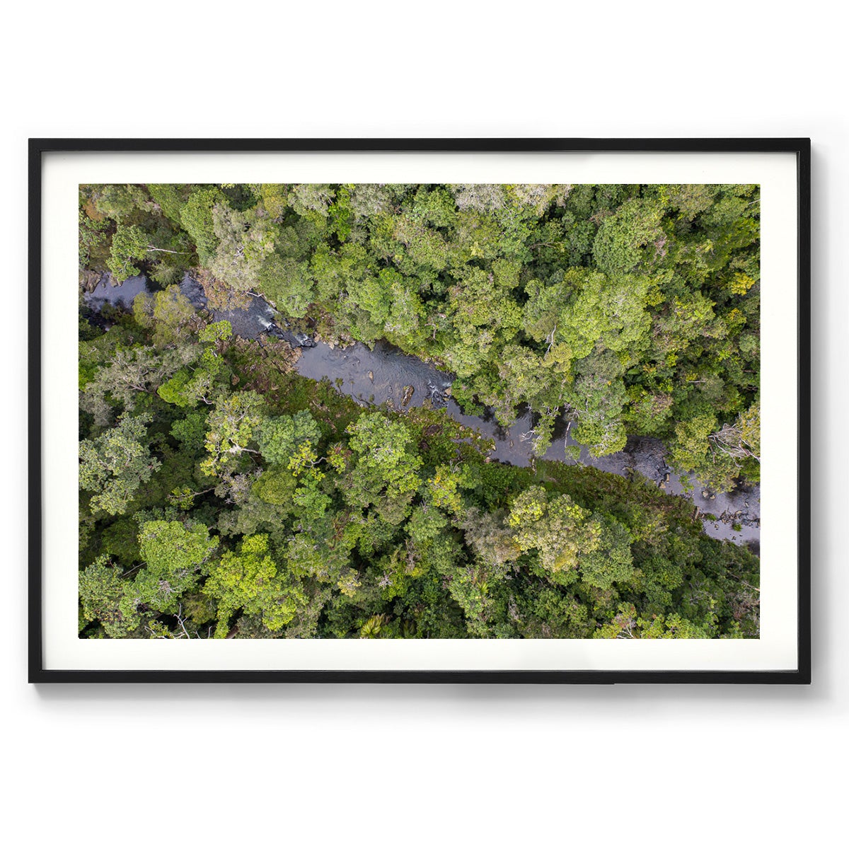 Windin Creek in the Rainforest #3 - Framed Print