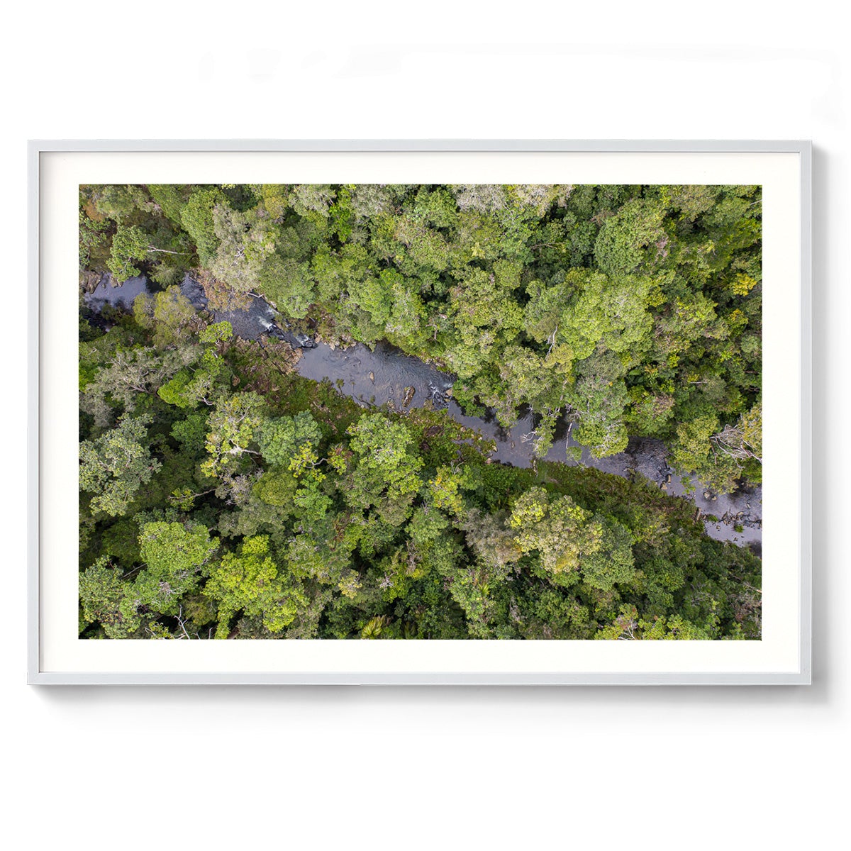 Windin Creek in the Rainforest #3 - Framed Print