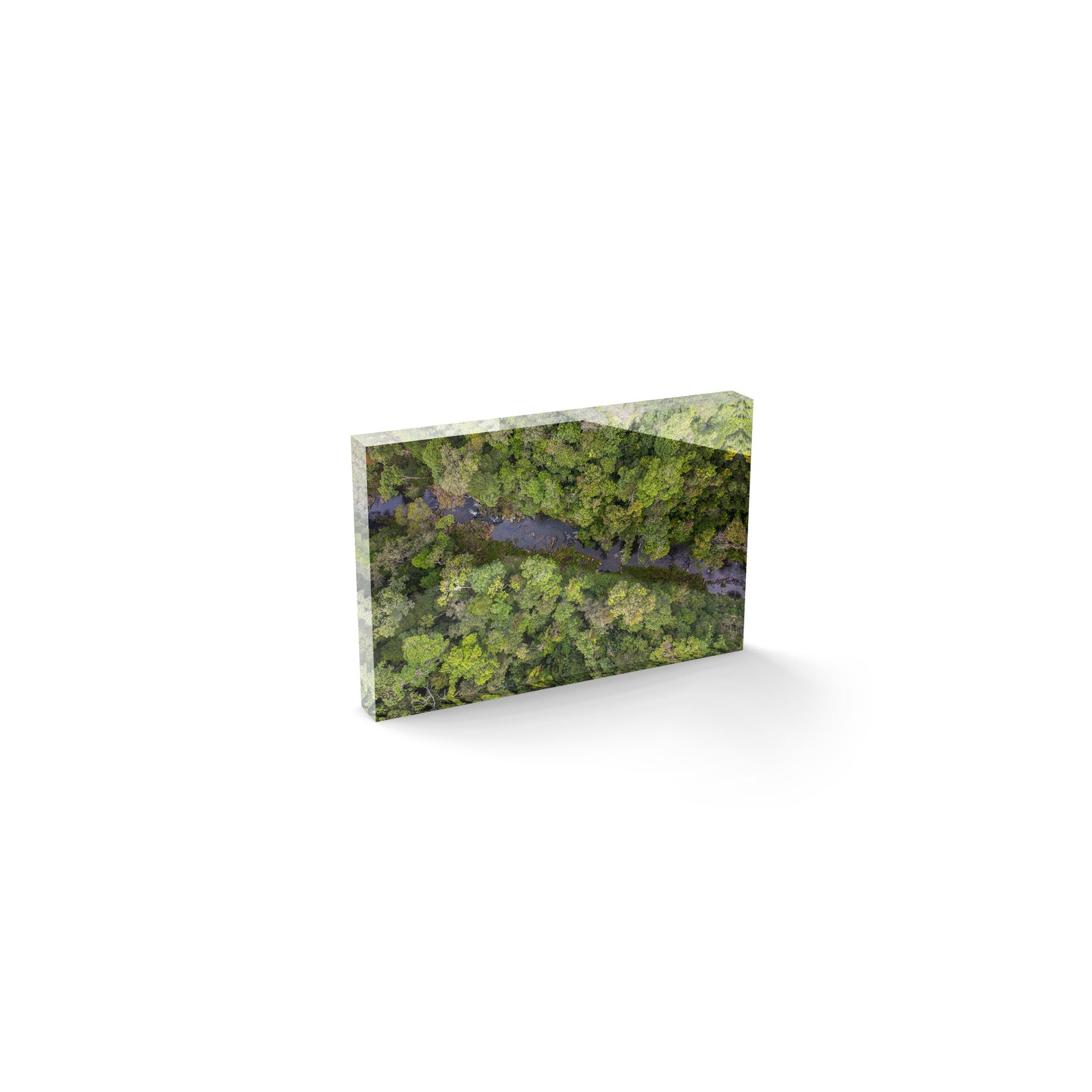 Windin Creek in the Rainforest #3 - Acrylic ICE Block