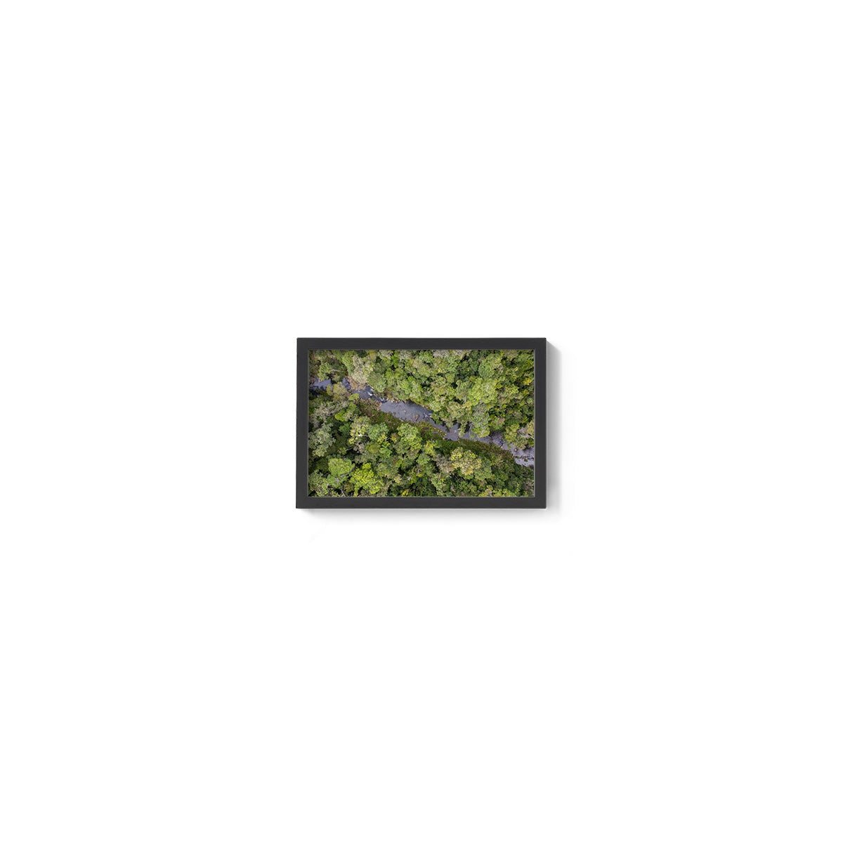 Windin Creek in the Rainforest #3 - Framed Print