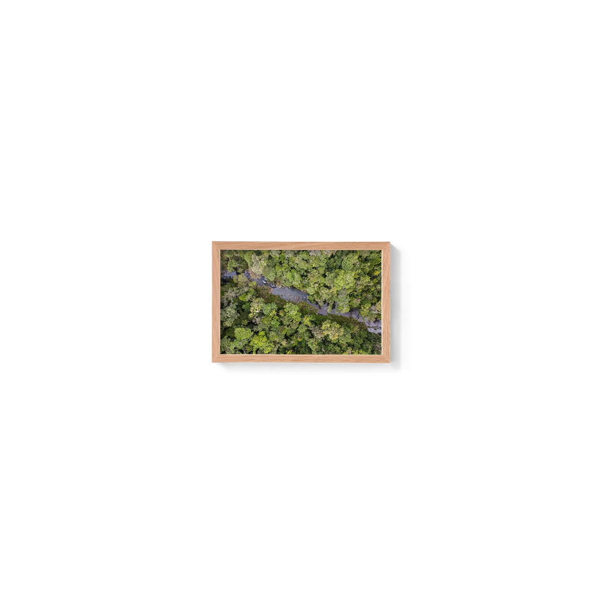 Windin Creek in the Rainforest #3 - Framed Print