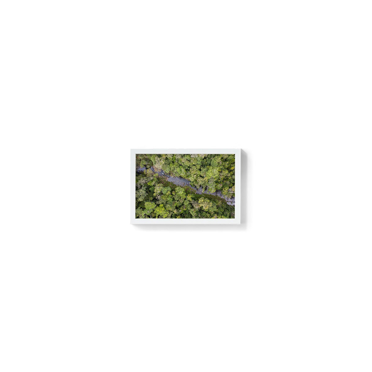 Windin Creek in the Rainforest #3 - Framed Print