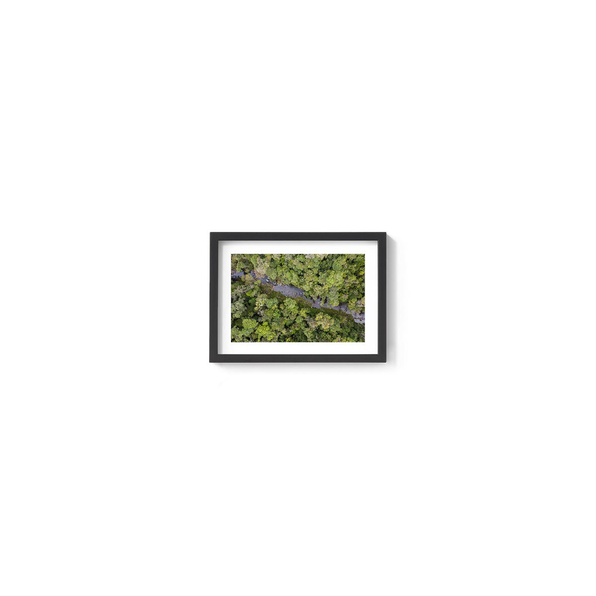 Windin Creek in the Rainforest #3 - Framed Print