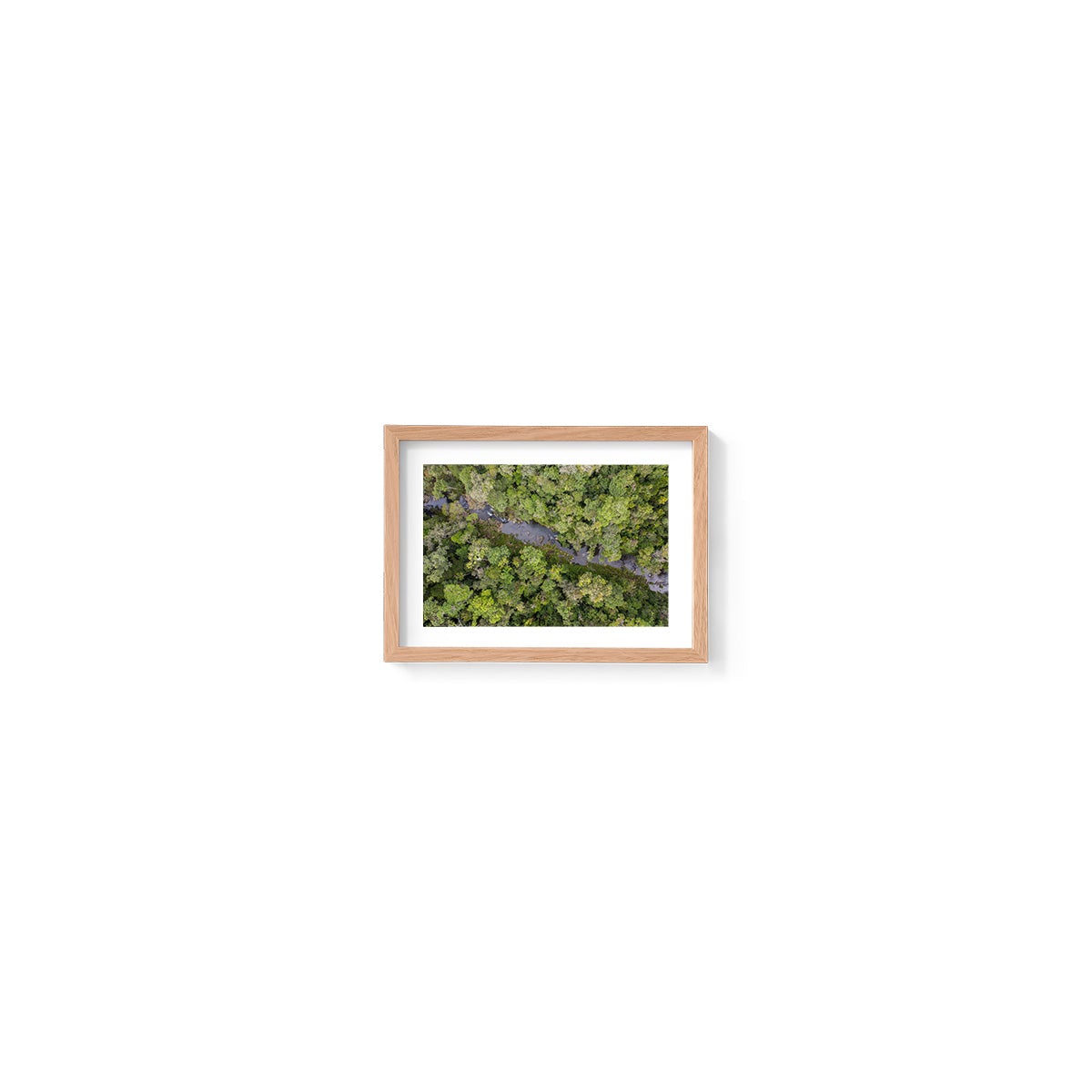 Windin Creek in the Rainforest #3 - Framed Print