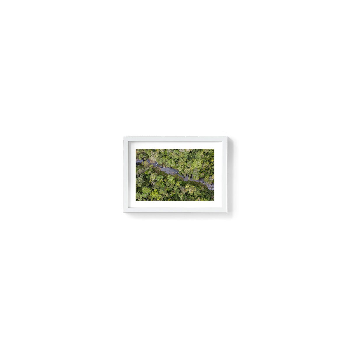 Windin Creek in the Rainforest #3 - Framed Print
