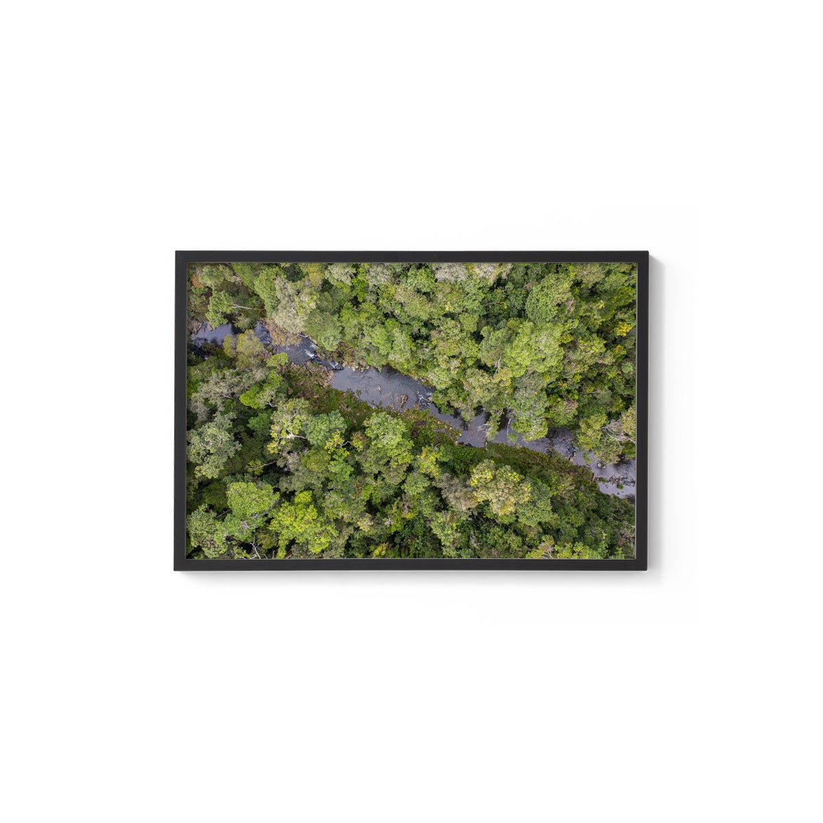 Windin Creek in the Rainforest #3 - Framed Print