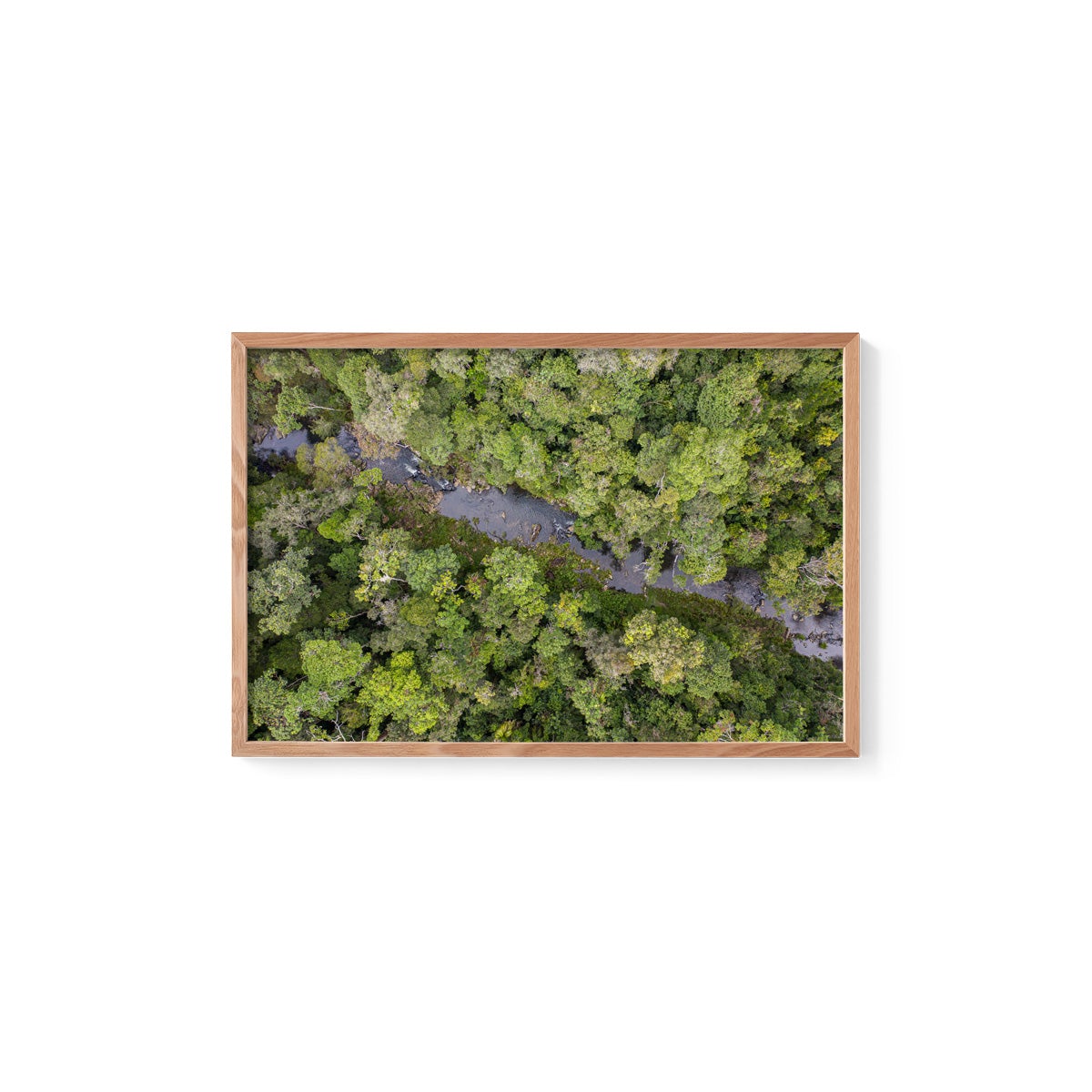 Windin Creek in the Rainforest #3 - Framed Print