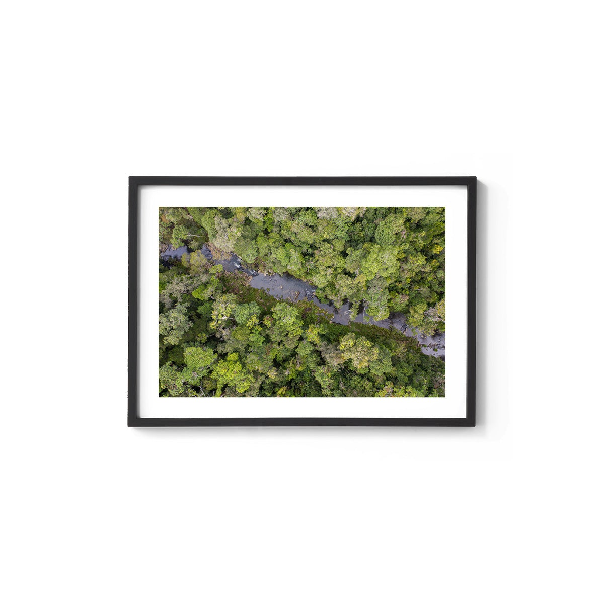 Windin Creek in the Rainforest #3 - Framed Print