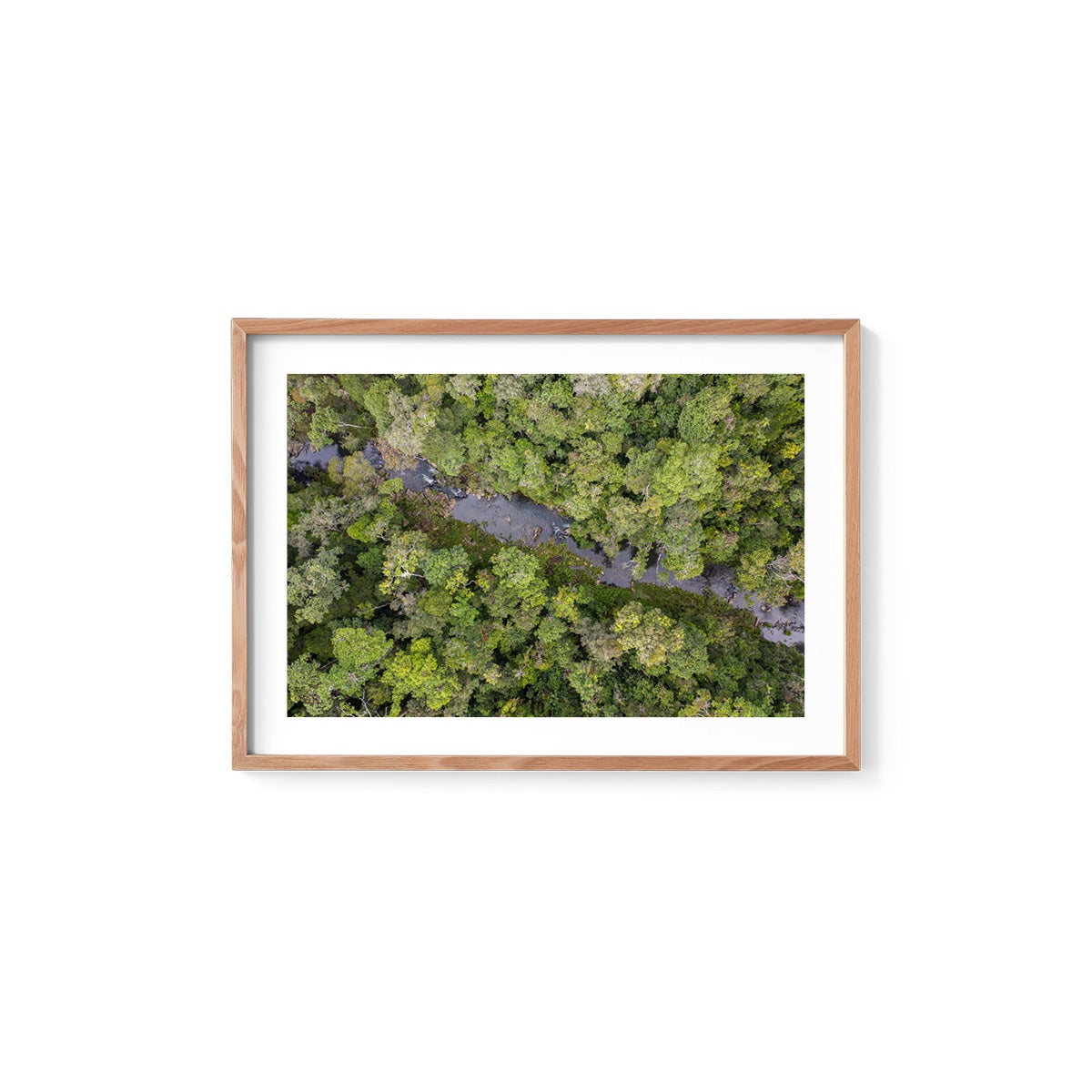 Windin Creek in the Rainforest #3 - Framed Print