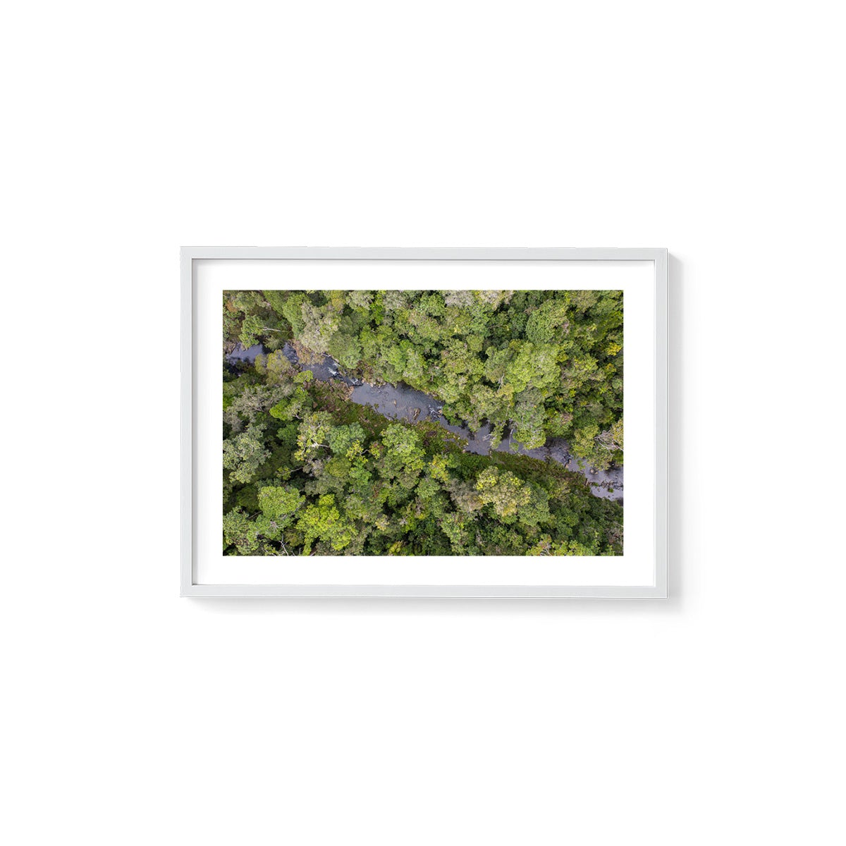 Windin Creek in the Rainforest #3 - Framed Print