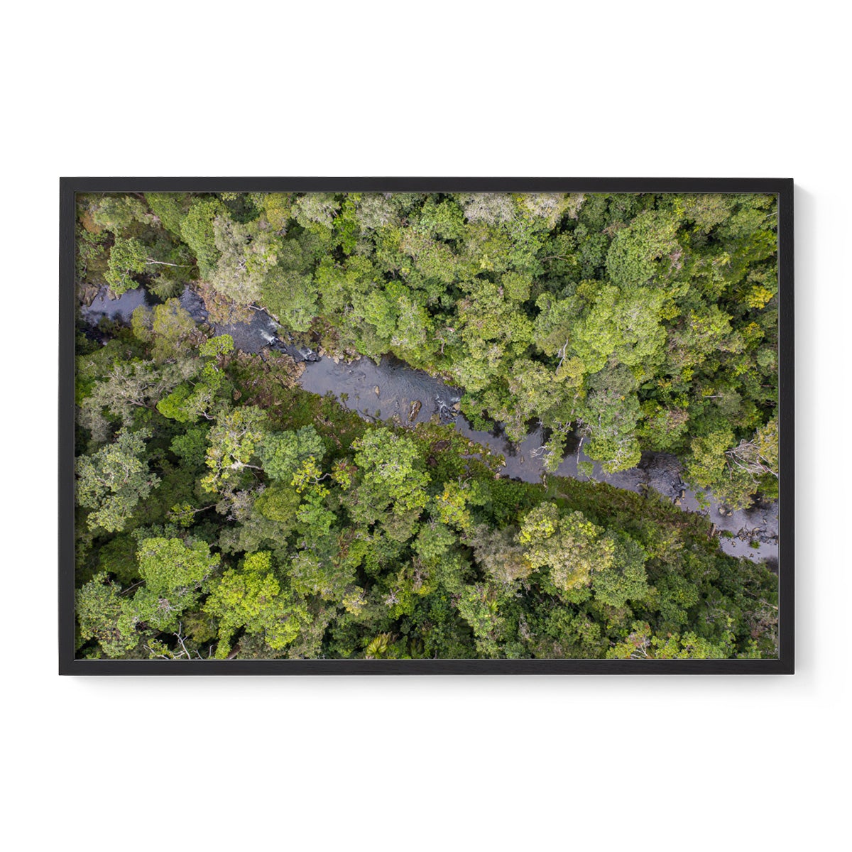 Windin Creek in the Rainforest #3 - Framed Print