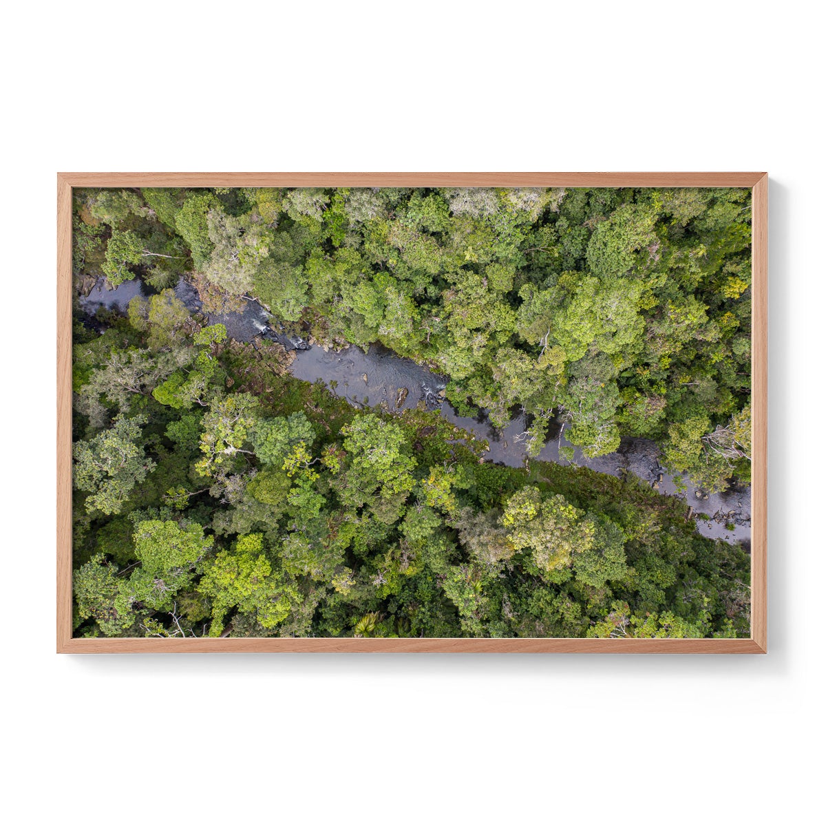 Windin Creek in the Rainforest #3 - Framed Print
