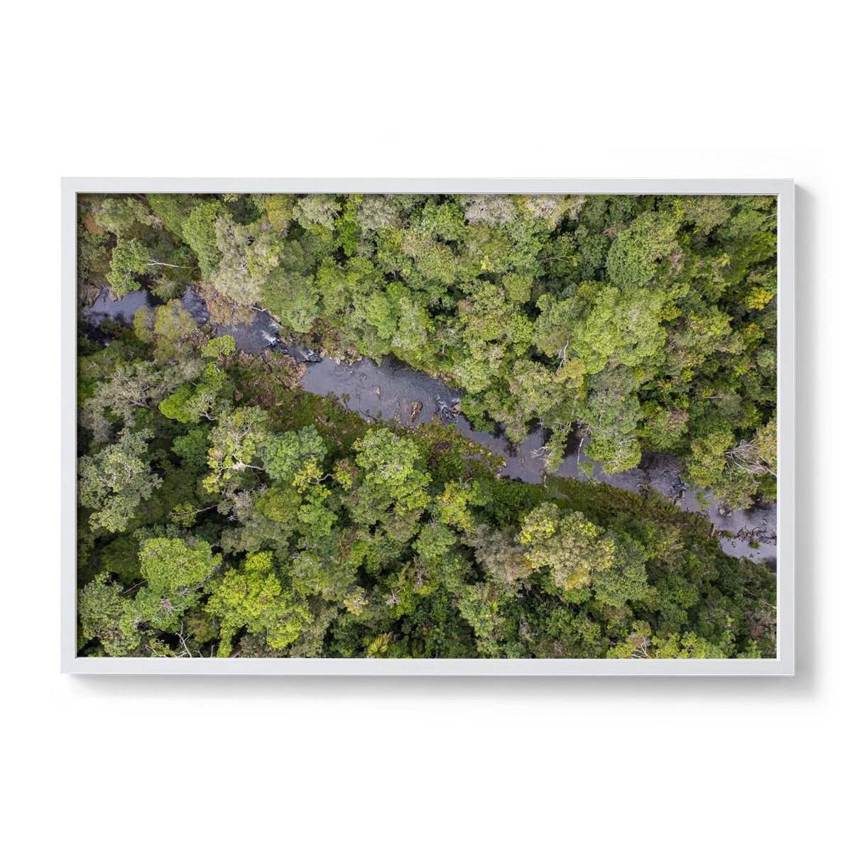 Windin Creek in the Rainforest #3 - Framed Print