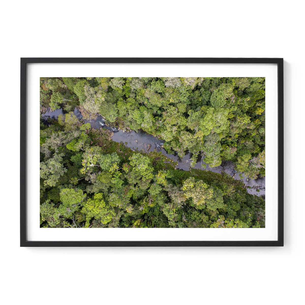 Windin Creek in the Rainforest #3 - Framed Print