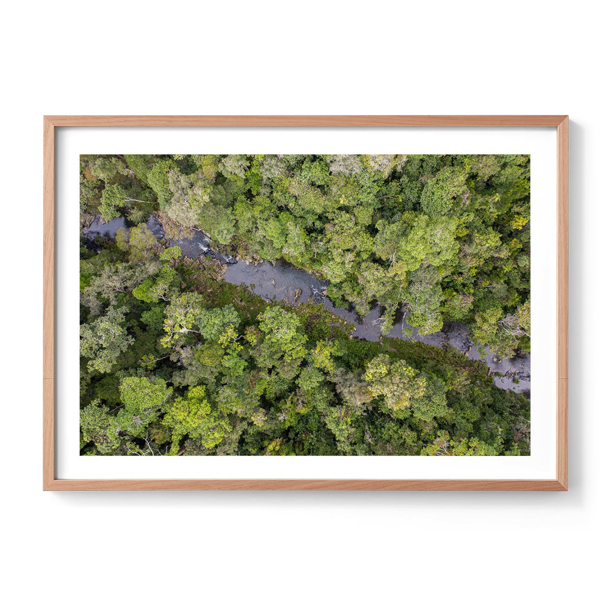 Windin Creek in the Rainforest #3 - Framed Print
