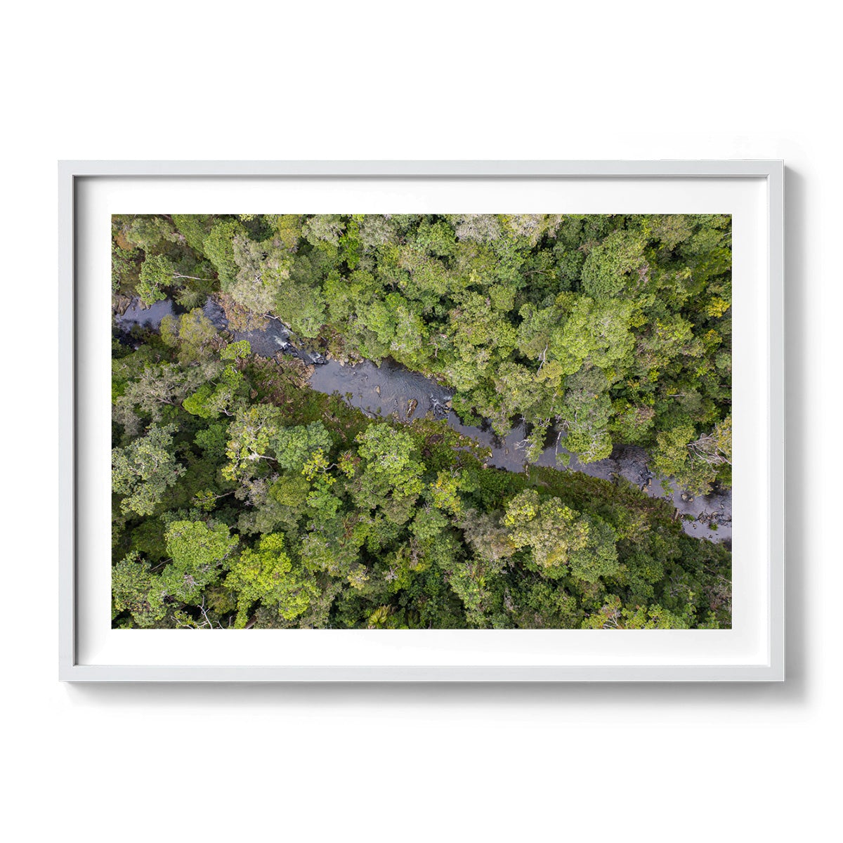 Windin Creek in the Rainforest #3 - Framed Print