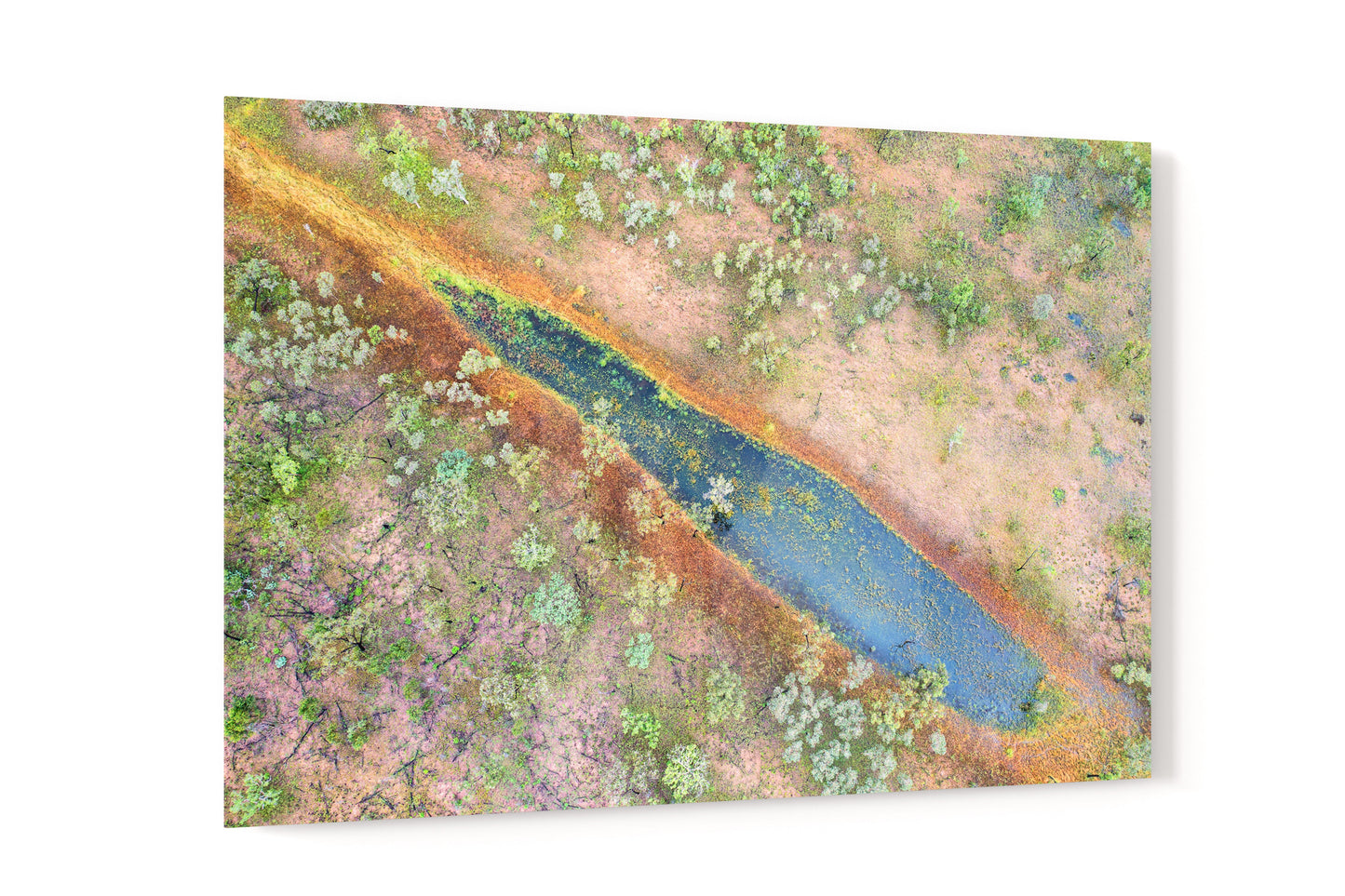 Dampier Peninsula Pond Abstract - Acrylic Print