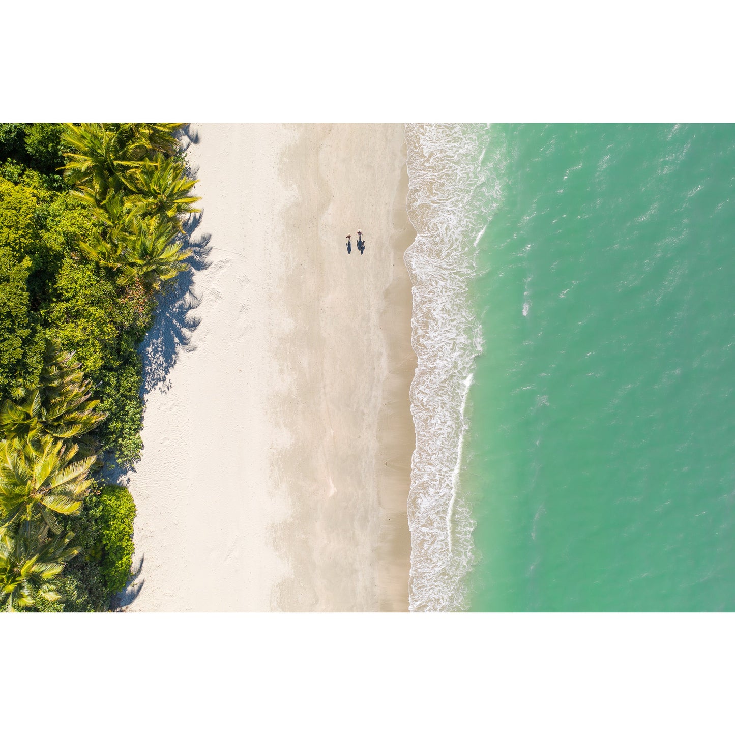 Port Douglas Beach #1 - Acrylic Print