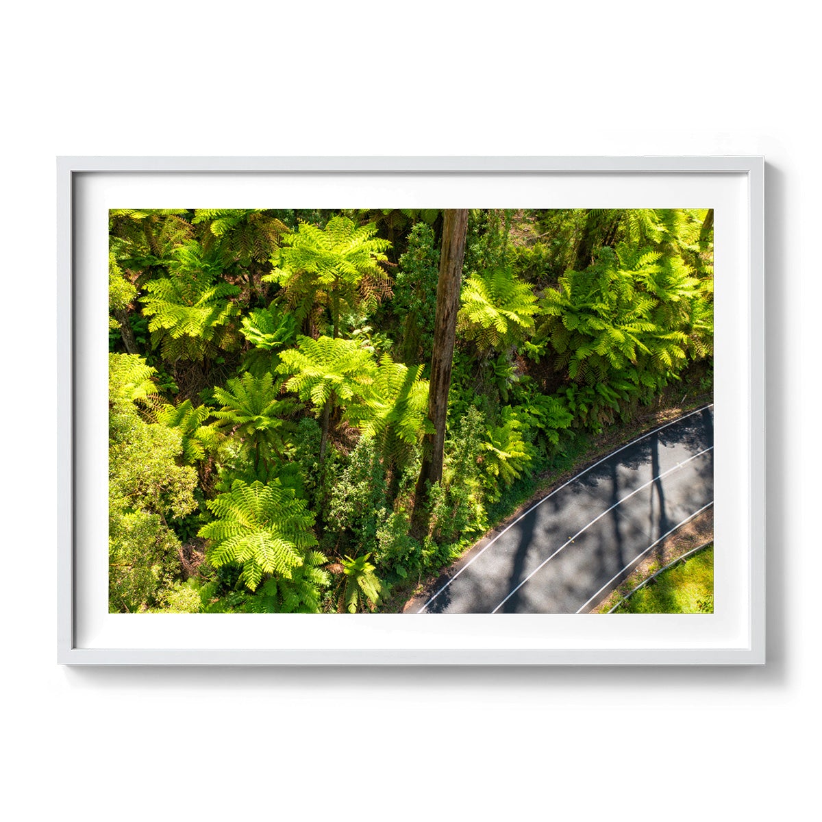 Black Spur Road #2 - Framed Print