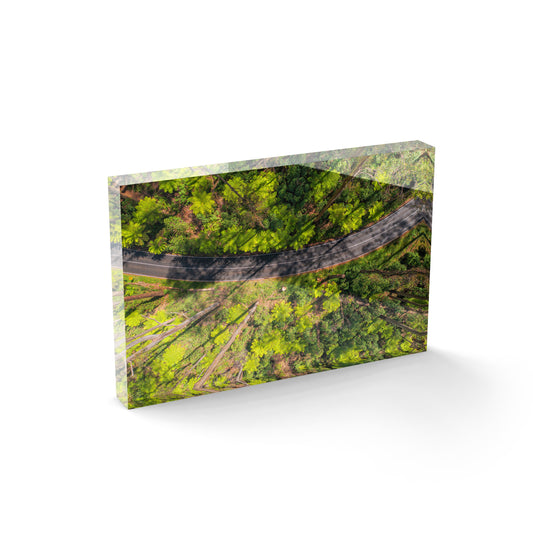 Black Spur Ribbon #2 - Acrylic ICE Block