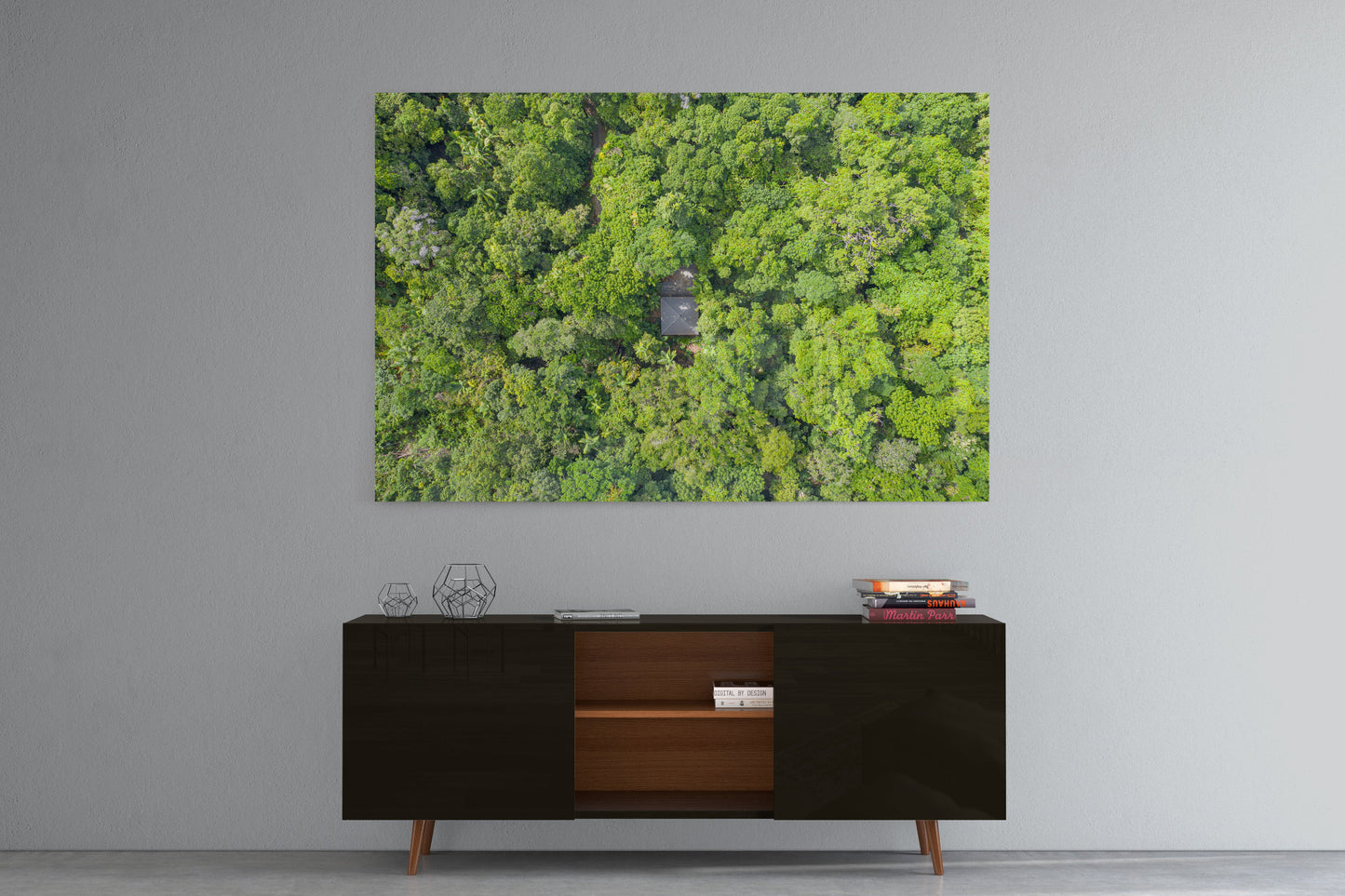 Black Palm Cape Tribulation - Acrylic Print