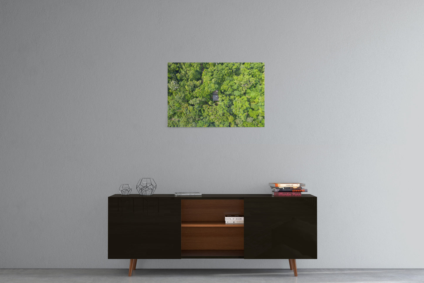 Black Palm Cape Tribulation - Acrylic Print