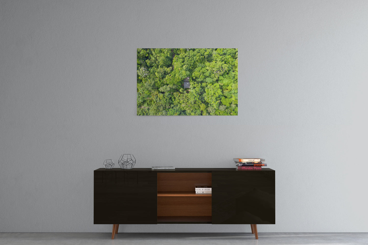 Black Palm Cape Tribulation - Acrylic Print