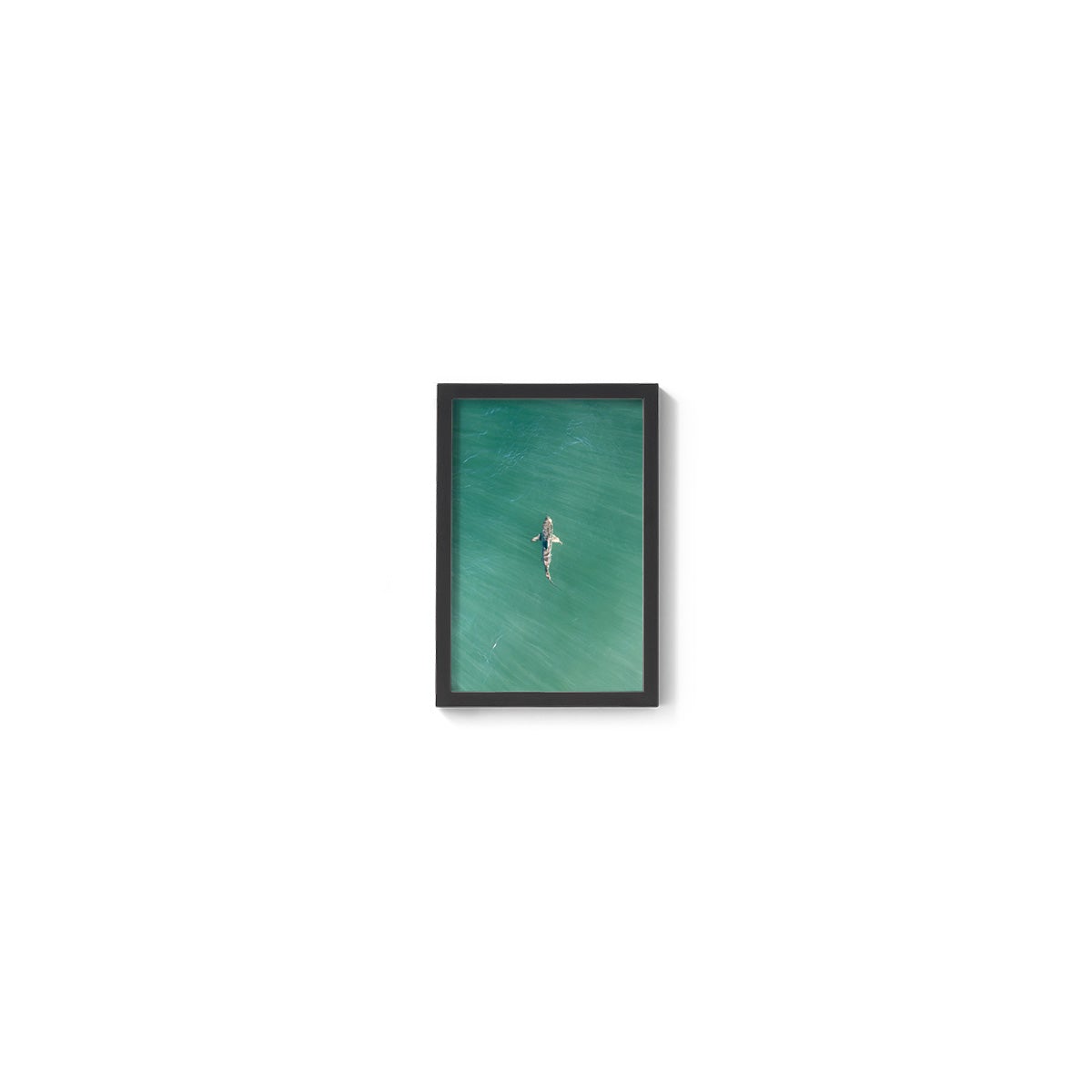 Shark! Riddell Beach - Framed Print