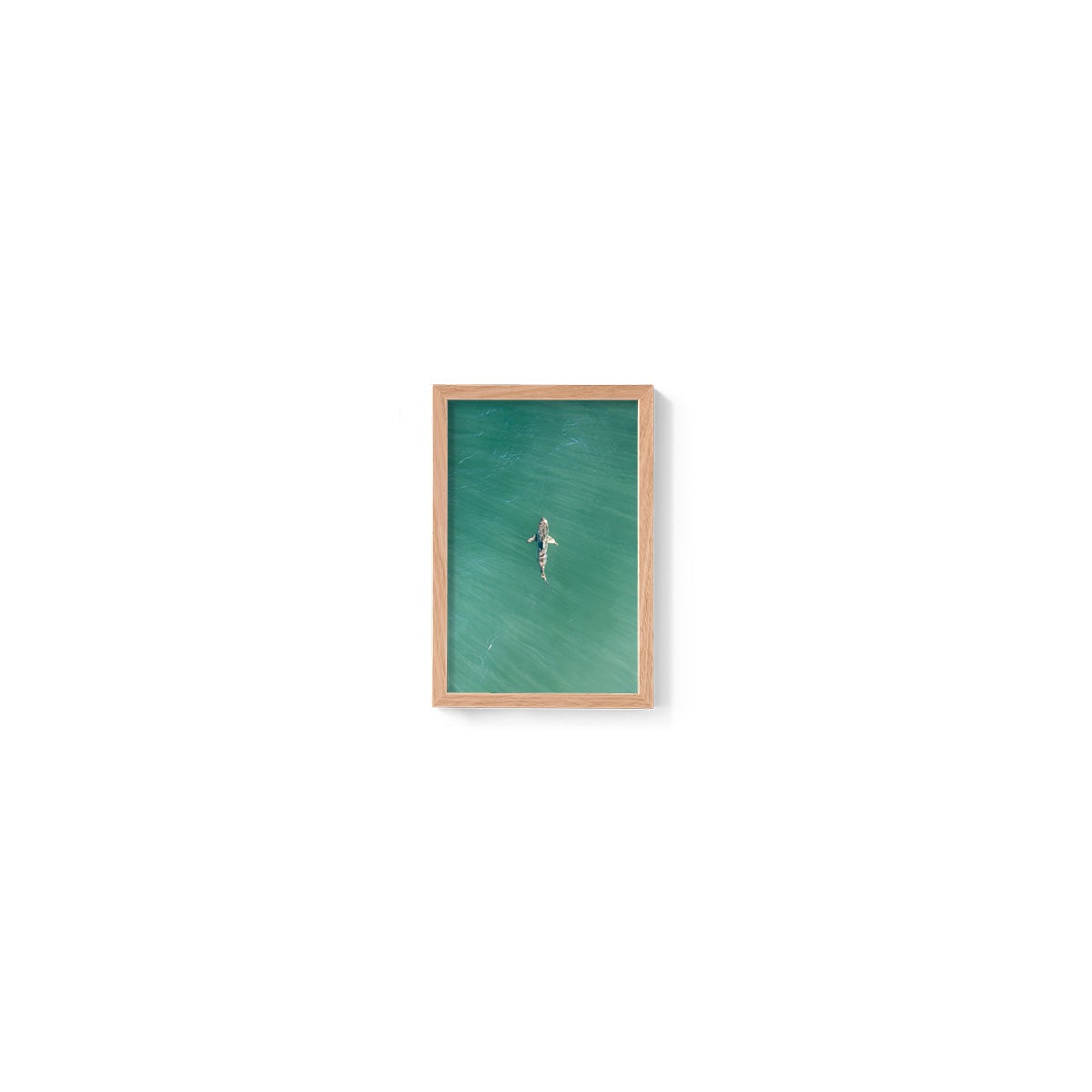 Shark! Riddell Beach - Framed Print