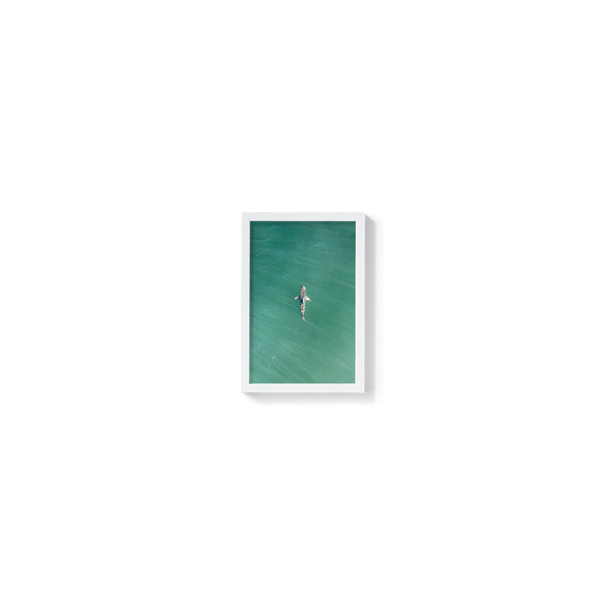 Shark! Riddell Beach - Framed Print