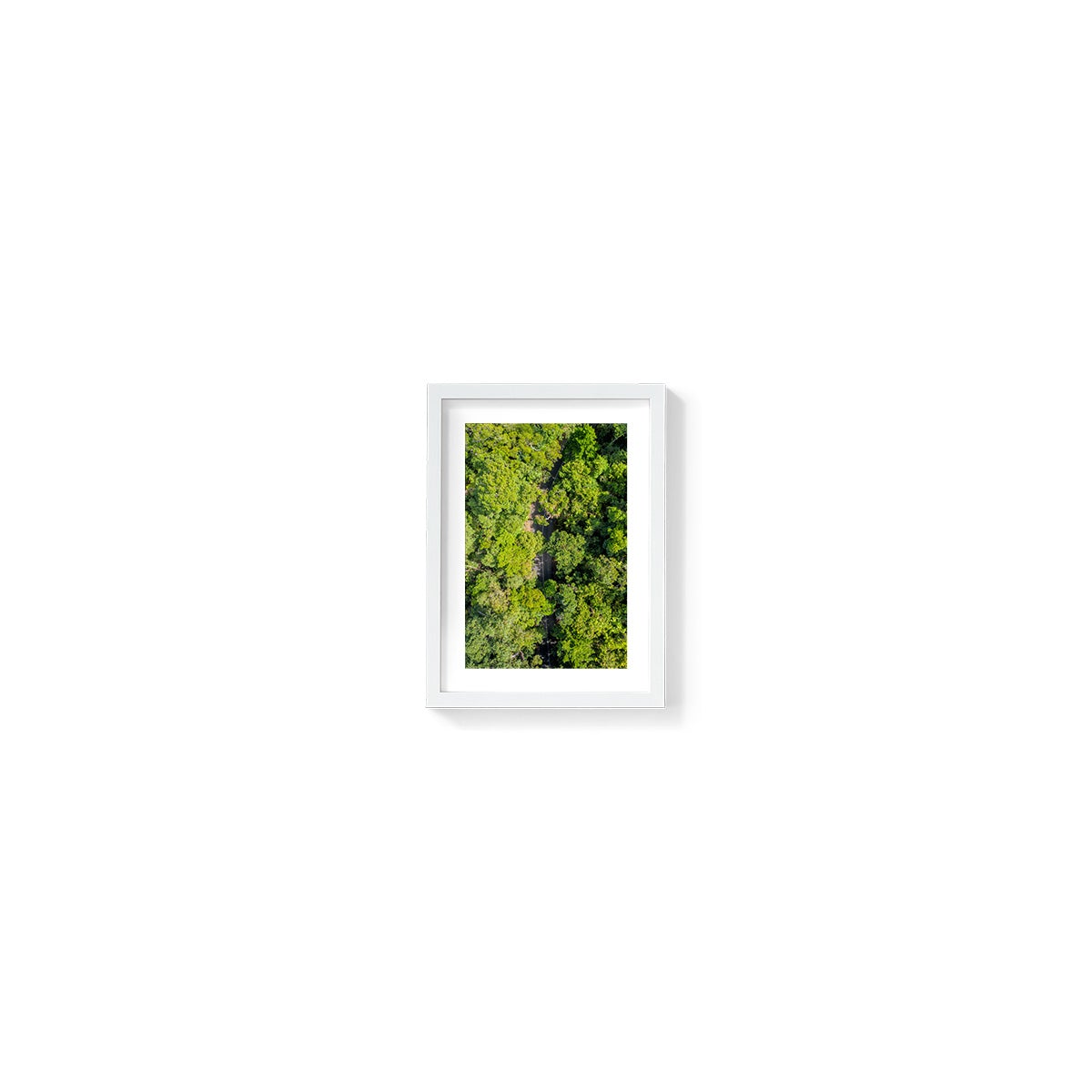 Cape Tribulation Road #2 - Framed Print