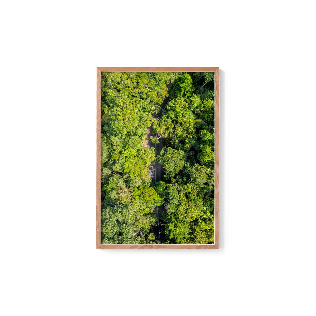 Cape Tribulation Road #2 - Framed Print