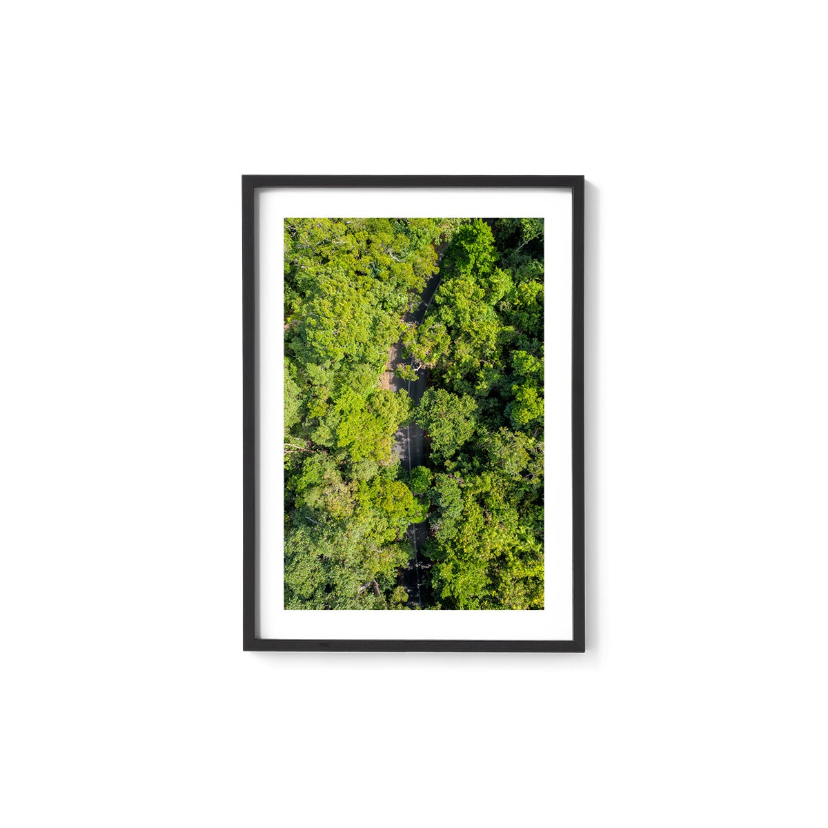 Cape Tribulation Road #2 - Framed Print