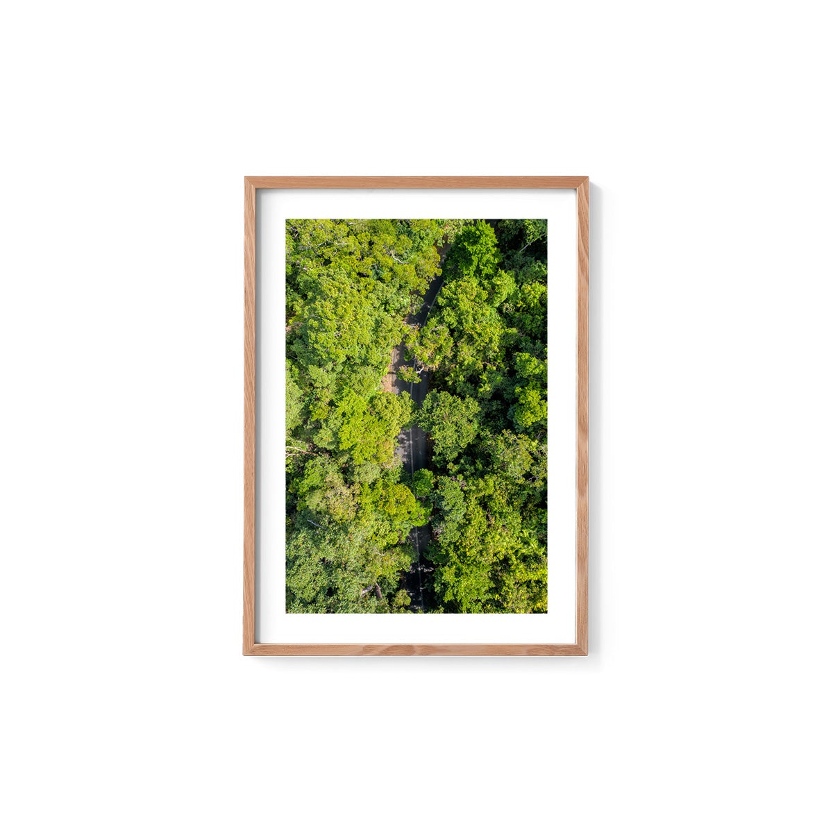 Cape Tribulation Road #2 - Framed Print