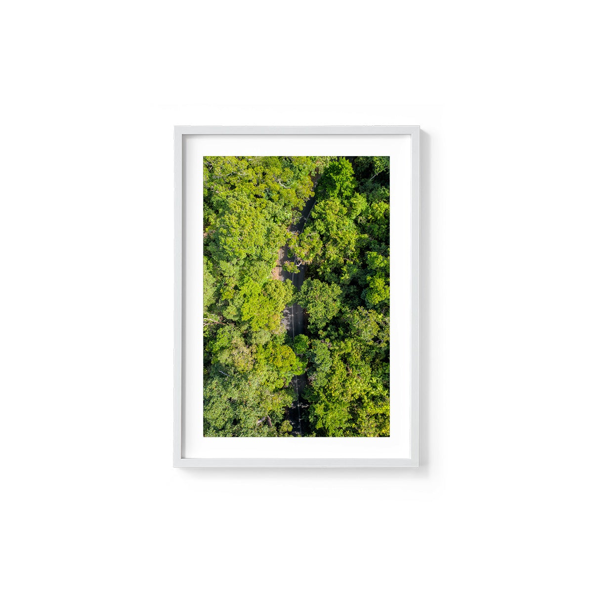 Cape Tribulation Road #2 - Framed Print