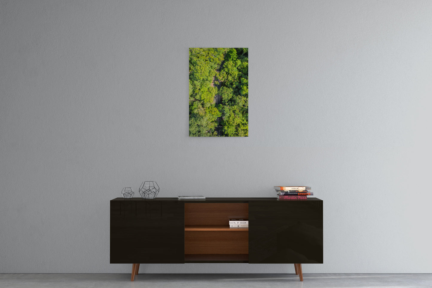 Cape Tribulation Road #2 - Acrylic Print