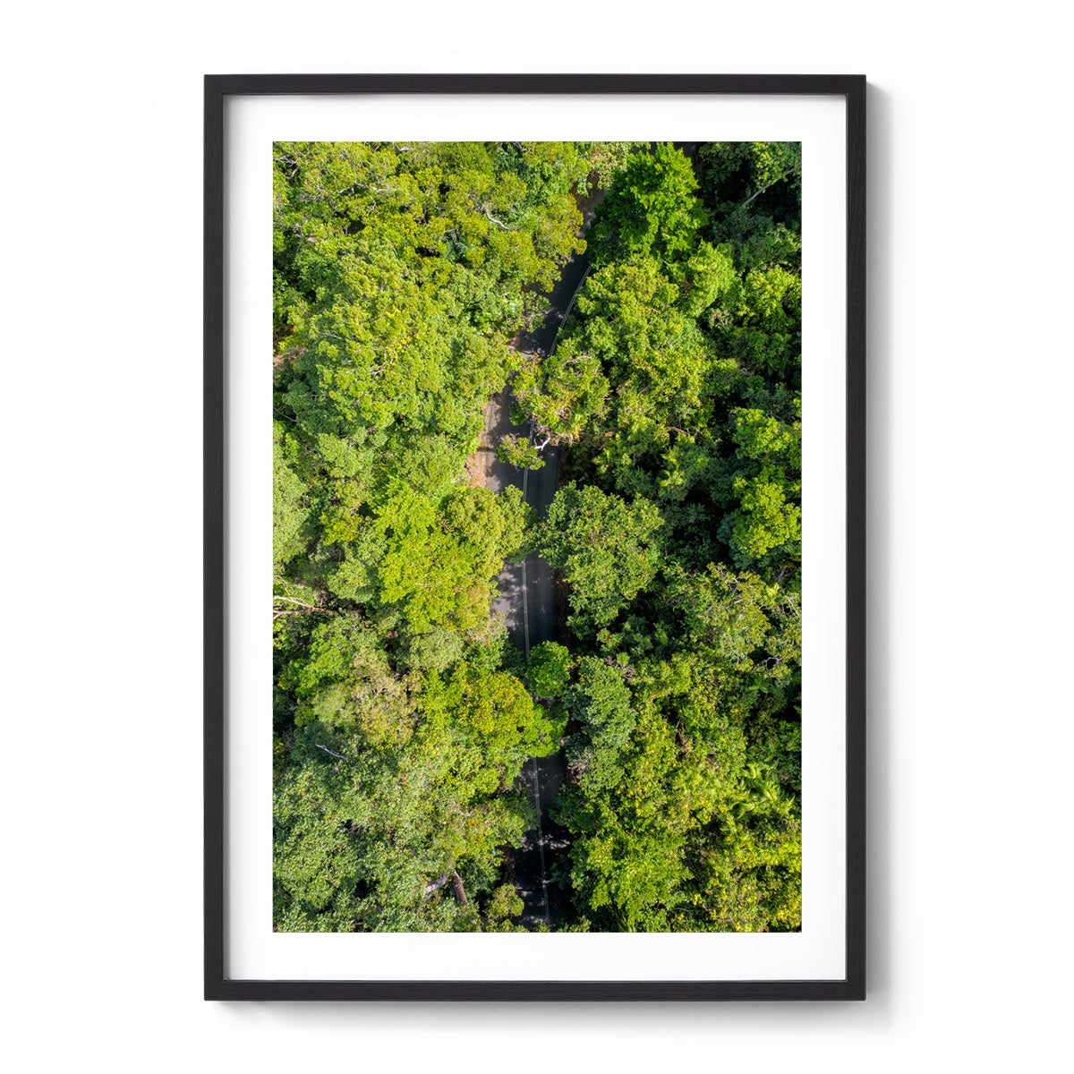 Cape Tribulation Road #2 - Framed Print