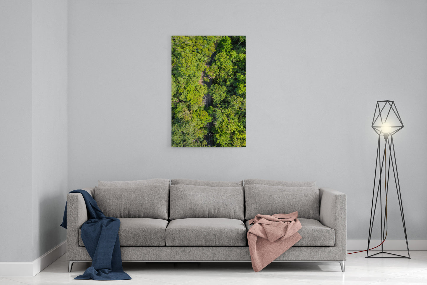 Cape Tribulation Road #2 - Acrylic Print