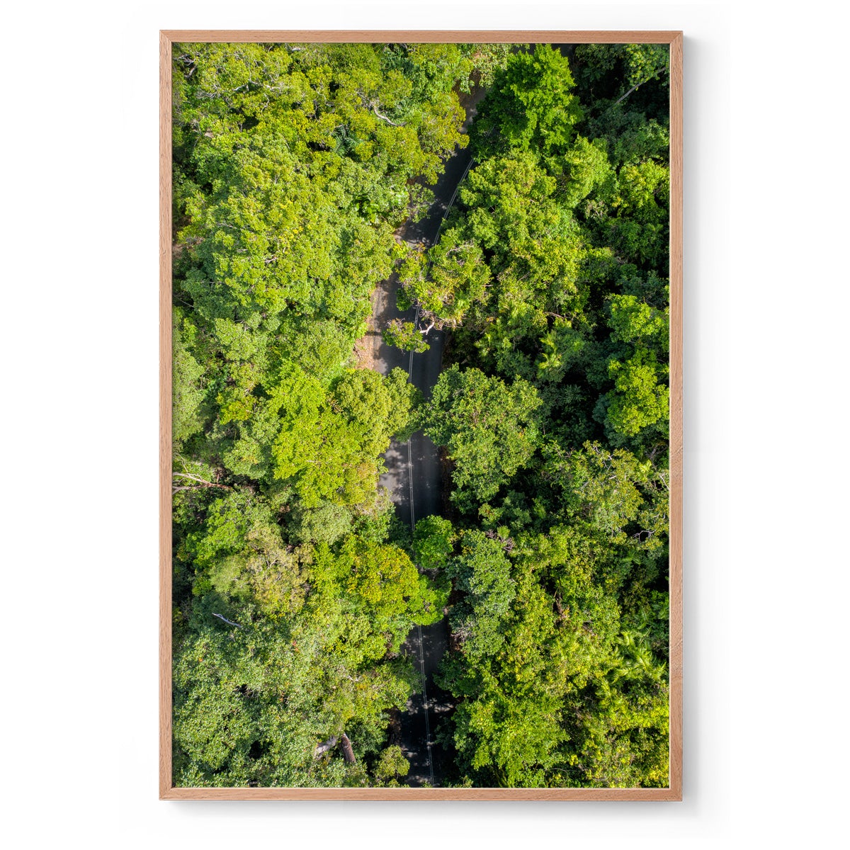 Cape Tribulation Road #2 - Framed Print