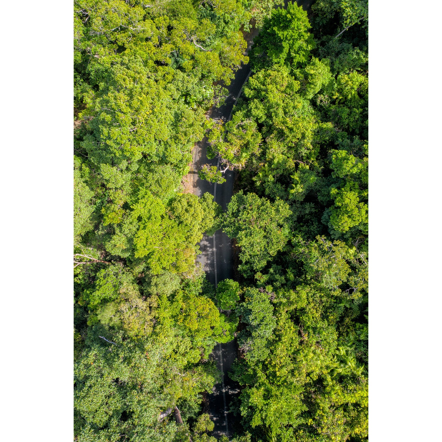 Cape Tribulation Road #2 - Acrylic ICE Block