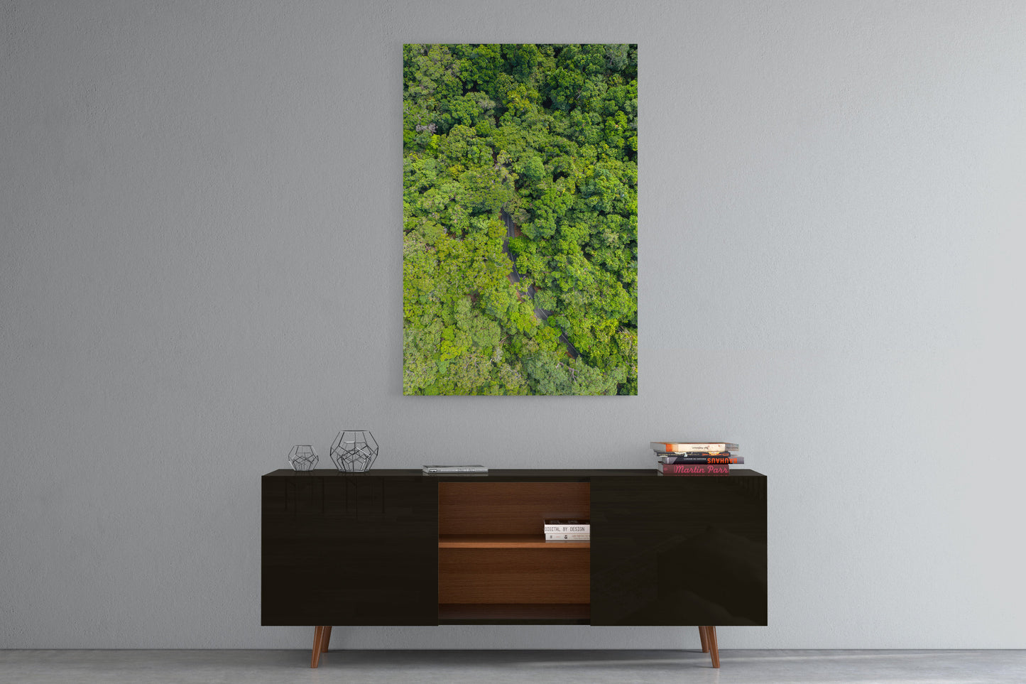 Cape Tribulation Road #1 - Acrylic Print