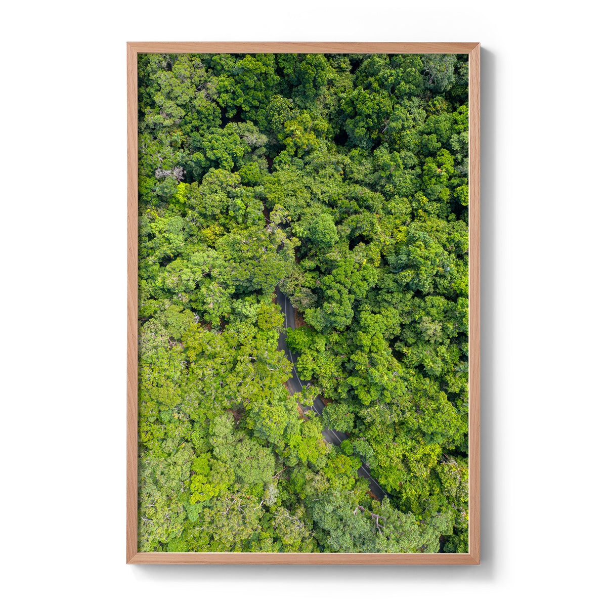 Cape Tribulation Road #1 - Framed Print