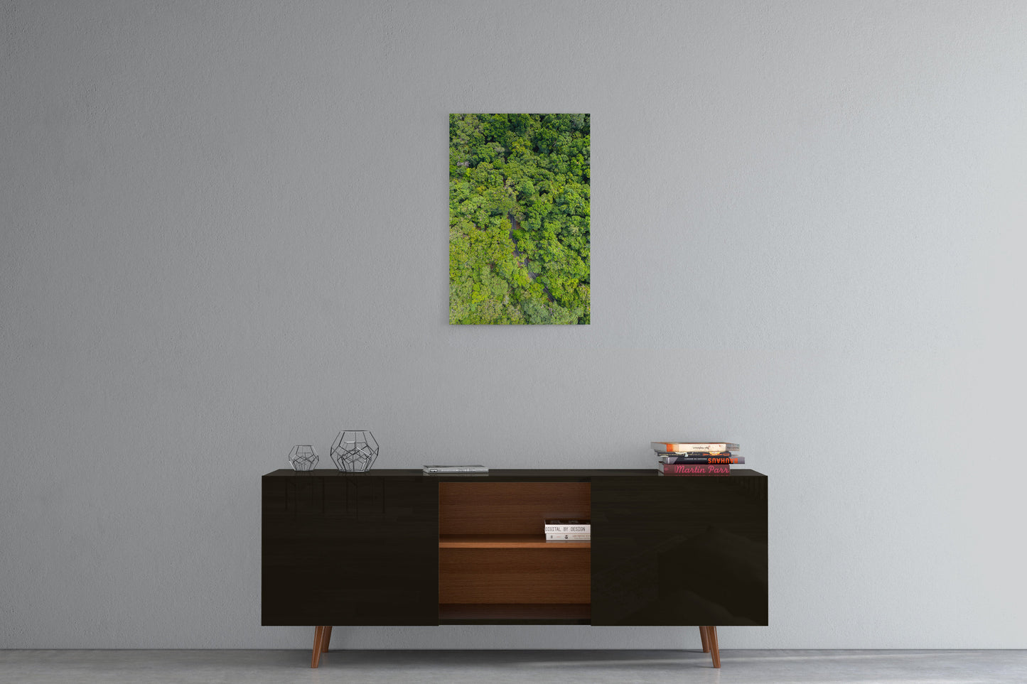 Cape Tribulation Road #1 - Acrylic Print