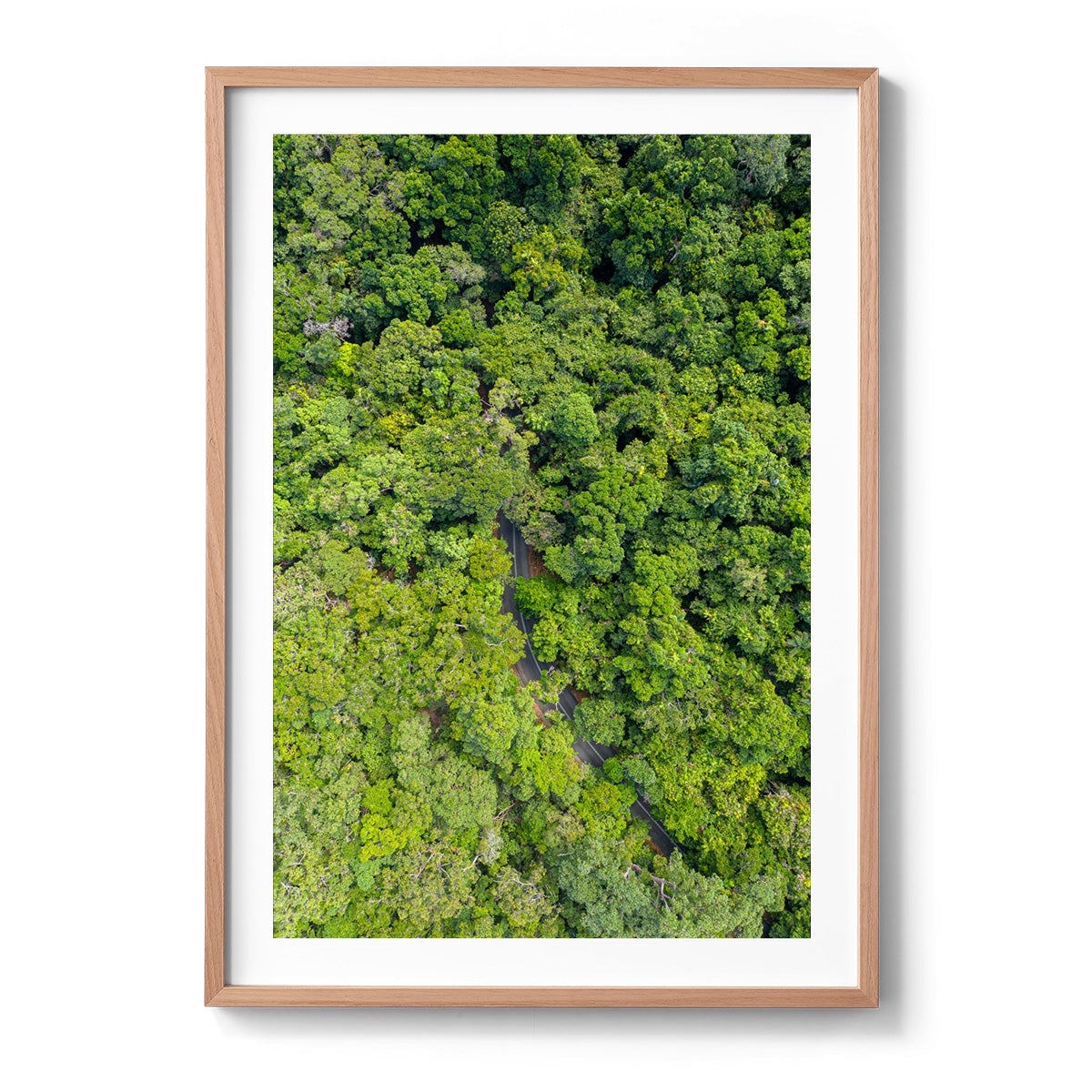 Cape Tribulation Road #1 - Framed Print