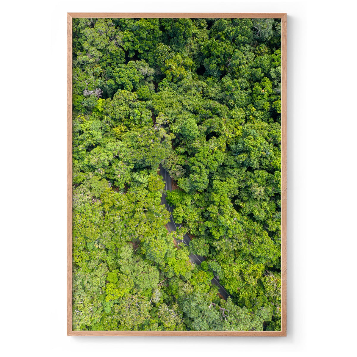 Cape Tribulation Road #1 - Framed Print